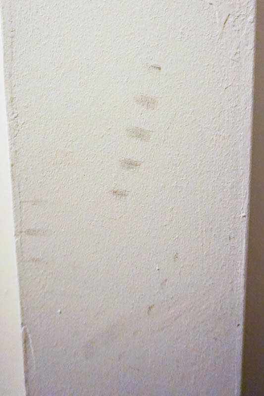 How to Remove Bike Tire Marks from Wall 